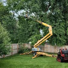 Best Stump Grinding and Removal  in Columbia City, OR