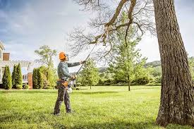 Best Tree Mulching  in Columbia City, OR